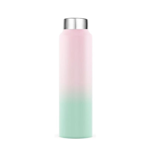 Stainless Steel Water Bottle 1 Ltr (Steel Cap - Set of 1, Pink Green)